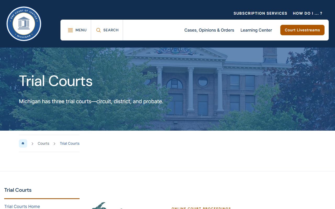 Lake County court dockets and the Michigan trial courts overview