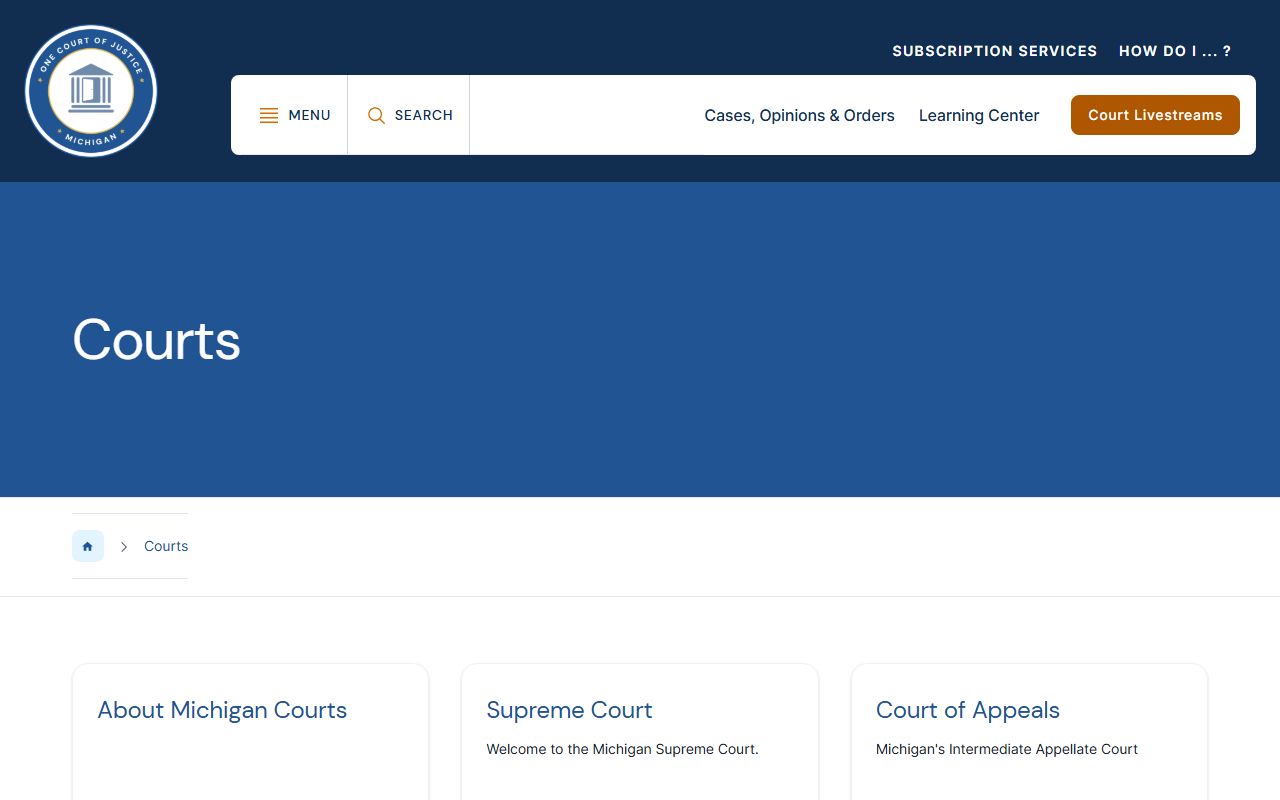 Lake County court dockets and the Michigan Courts system overview