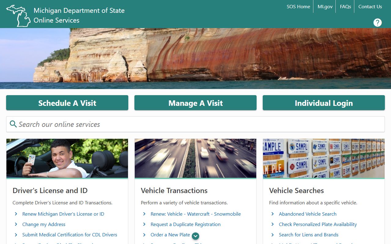 Lake County traffic court records Michigan e-Services portal